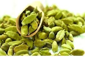 ELACHI 10G