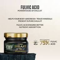 himalatan_shilajit