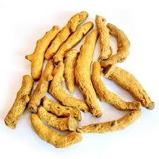 KADA HALDI