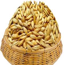 JAO 100G