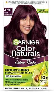 garnier color 20g