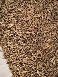 SHAHJIRA 25G