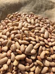 rajma
