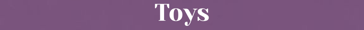 1777890094web_Toys.png