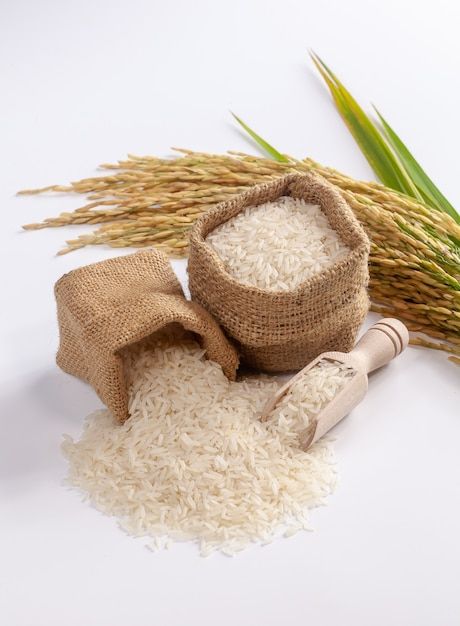 INDRAYANI RICE