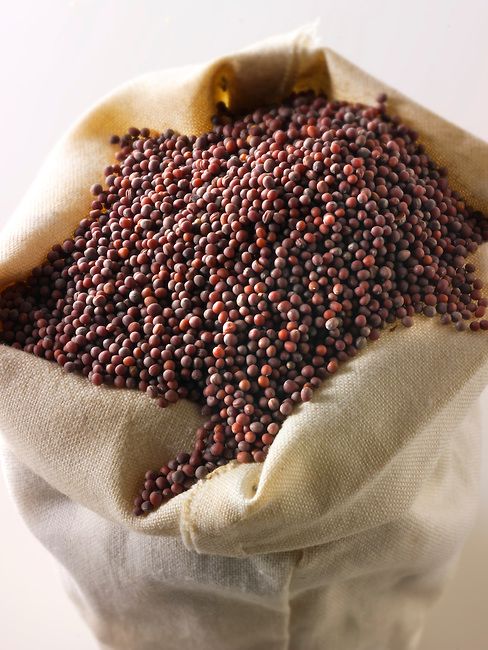 MUSTARD SEEDS