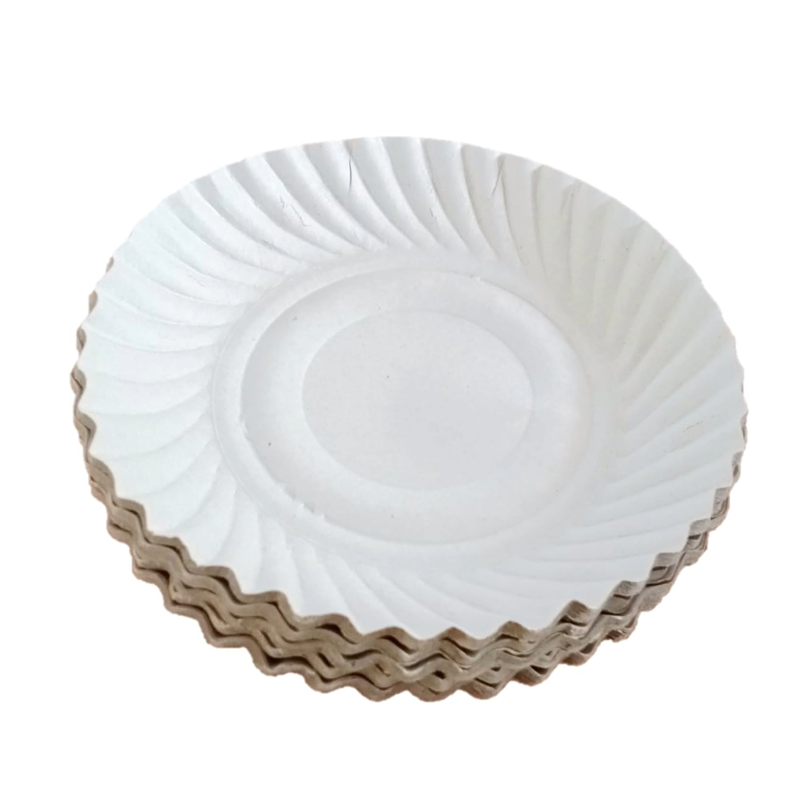 PAPER PLATE SMALL