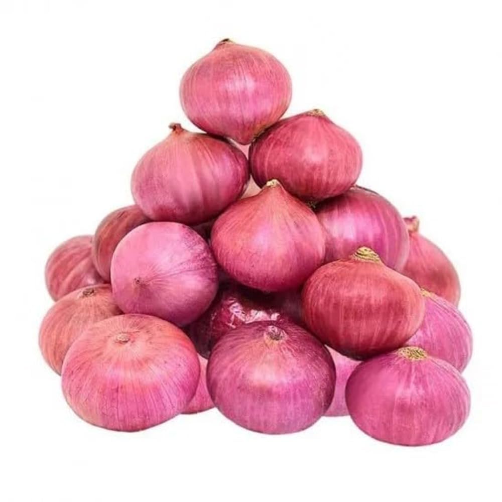 ONION VEGETABLE PEYAJA